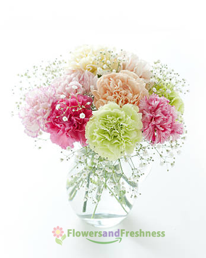 Mixed Color Carnation Flowers